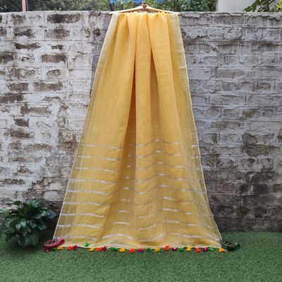 Linen Cotton Saree without Sequin Work