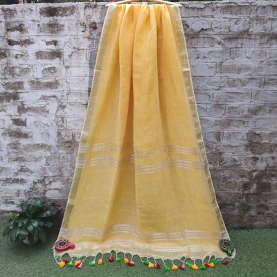Linen Cotton Saree with Sequin Work