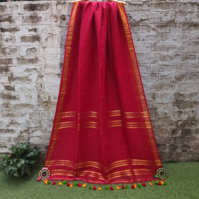Linen Cotton Saree with Sequin Work